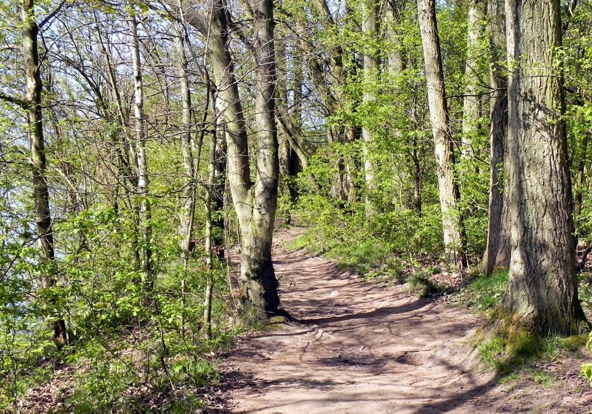 08.08.25 By Wooded Path, Sale Water Park by David Dixon