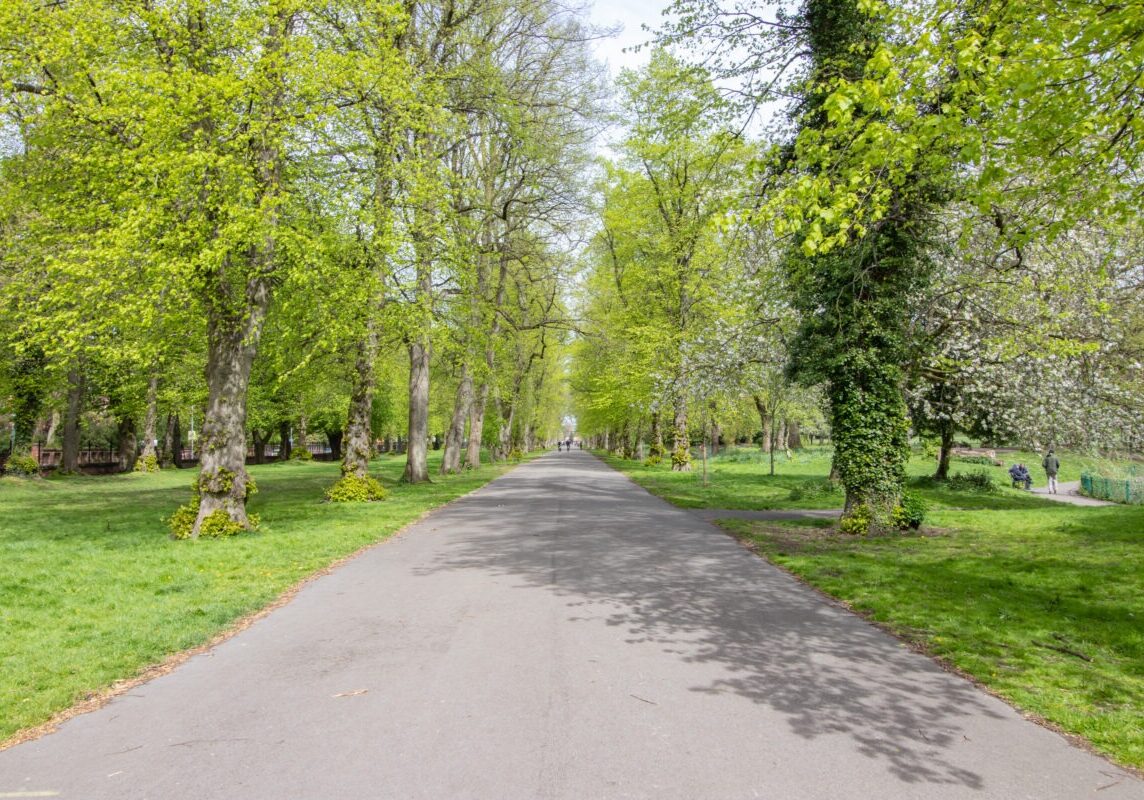 Alexandra Park 2