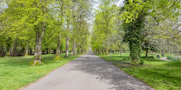 Alexandra Park 2