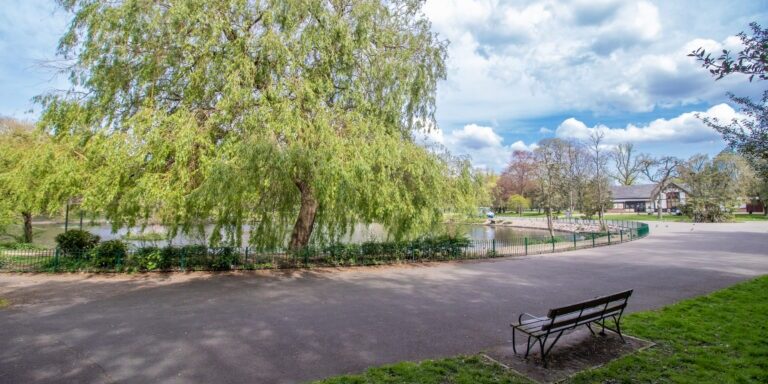 Alexandra Park