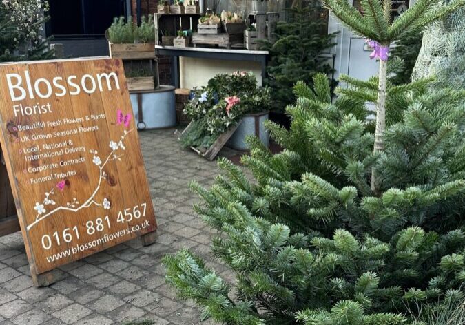 BLossom Xmas Trees