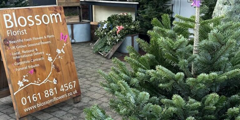 BLossom Xmas Trees