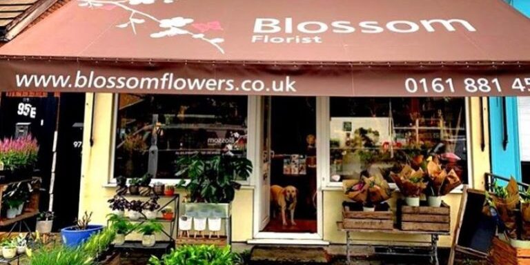 Blossom Florist