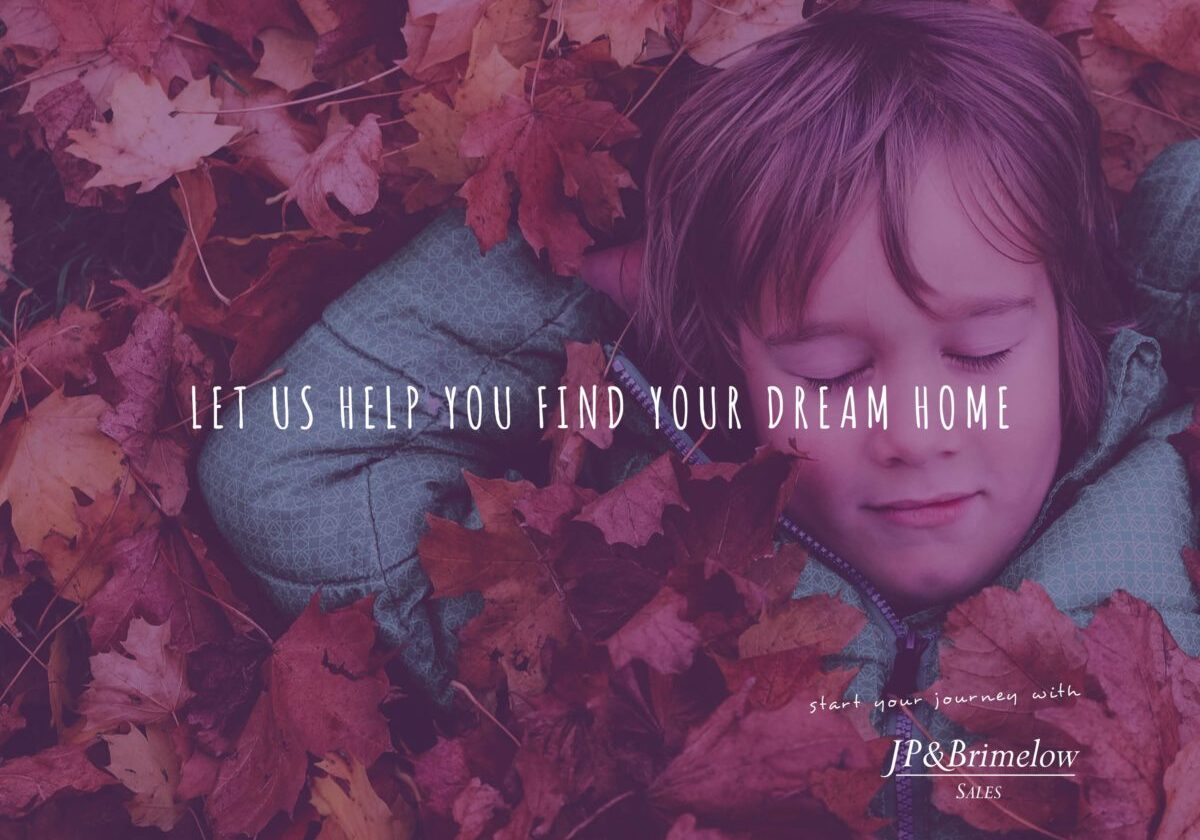 Boy dreaming