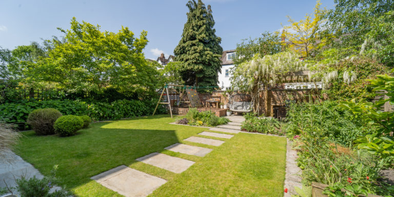 Lawn August 2023