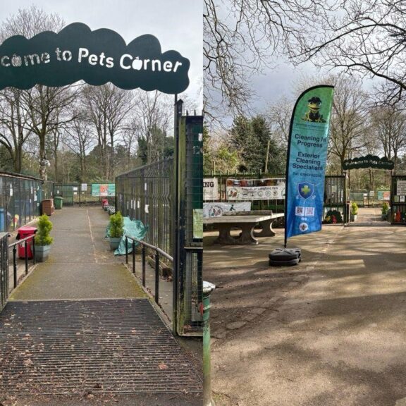 Pets corner