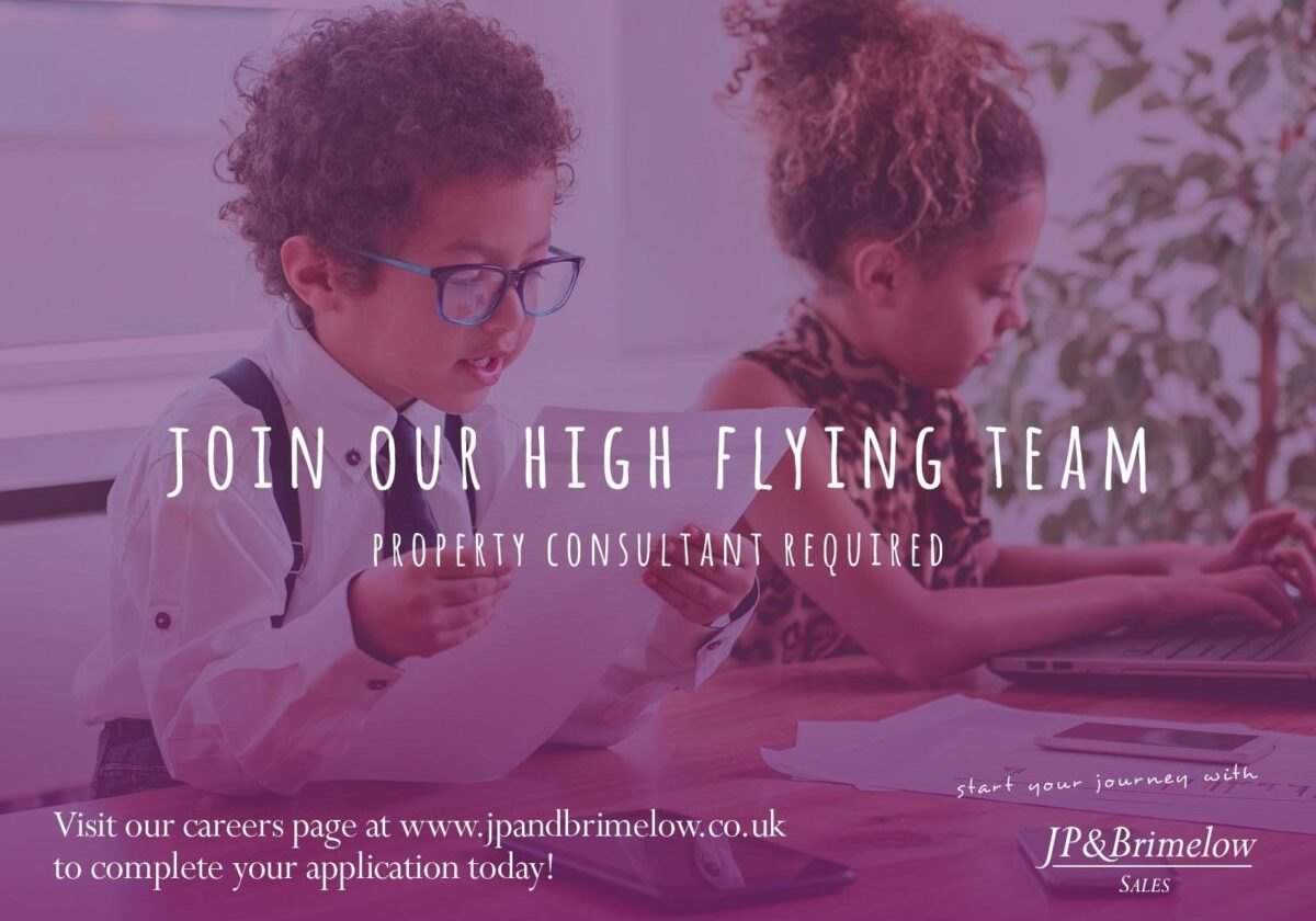Property consultant job