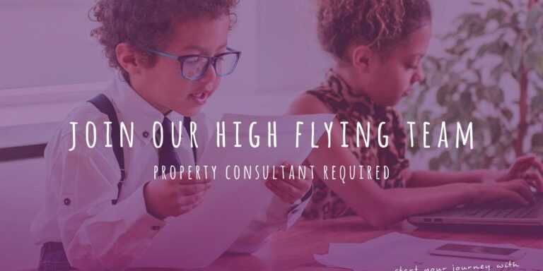 Property consultant job