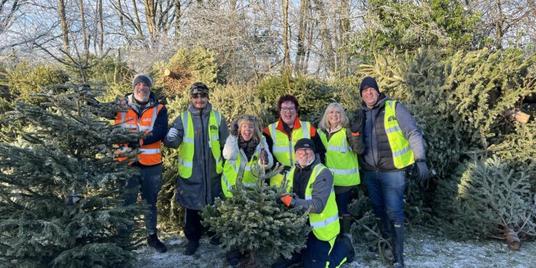 St Ann's Hospice - Xmas trees