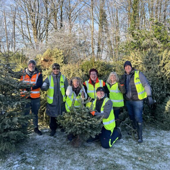 St Ann's Hospice - Xmas trees