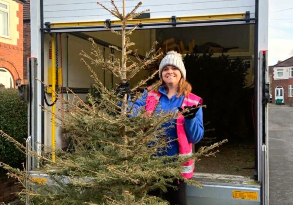 St Ann's Hospice tree