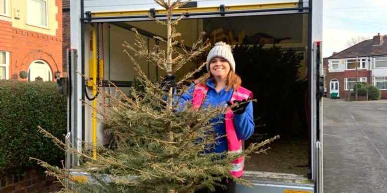 St Ann's Hospice tree