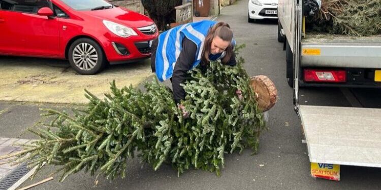 St-Anns-Hospice-volunteer-collecting-trees-January-copy-2024-750x400