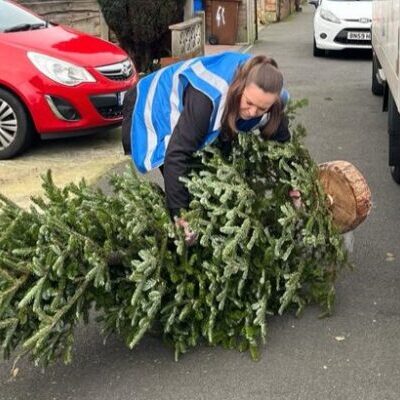 St-Anns-Hospice-volunteer-collecting-trees-January-copy-2024-750x400