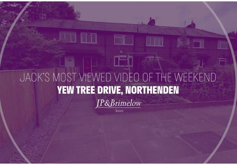 Yew Tree Drive