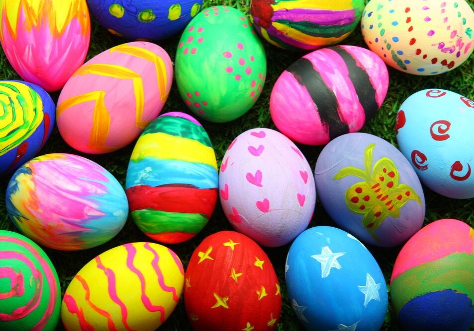 eggs